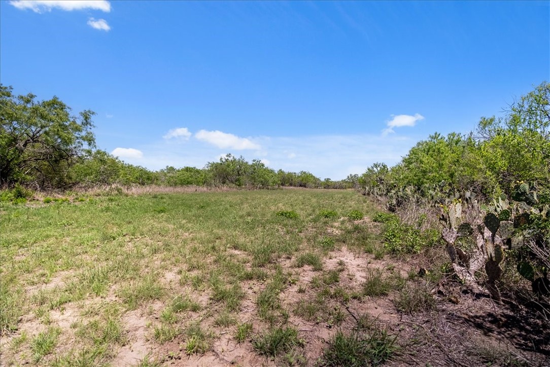 00 Cr 175 Property Photo 9