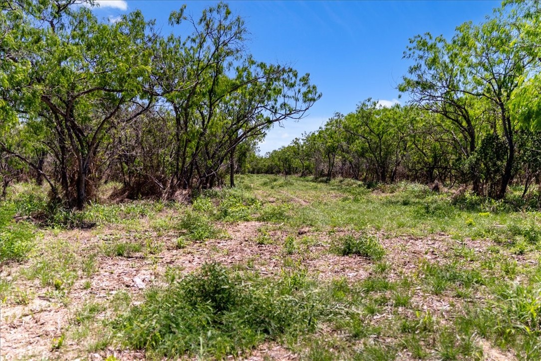 00 Cr 175 Property Photo 11
