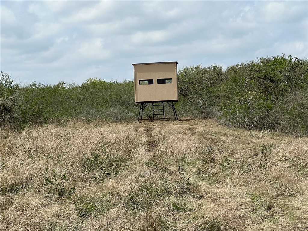 0 Blackbrush Spur Property Photo 2