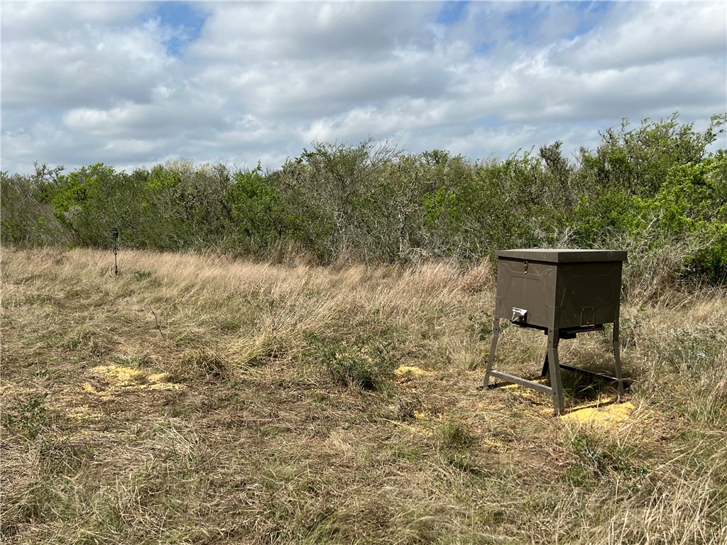 0 Blackbrush Spur Property Photo 3