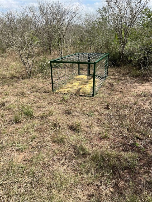 0 Blackbrush Spur Property Photo 4