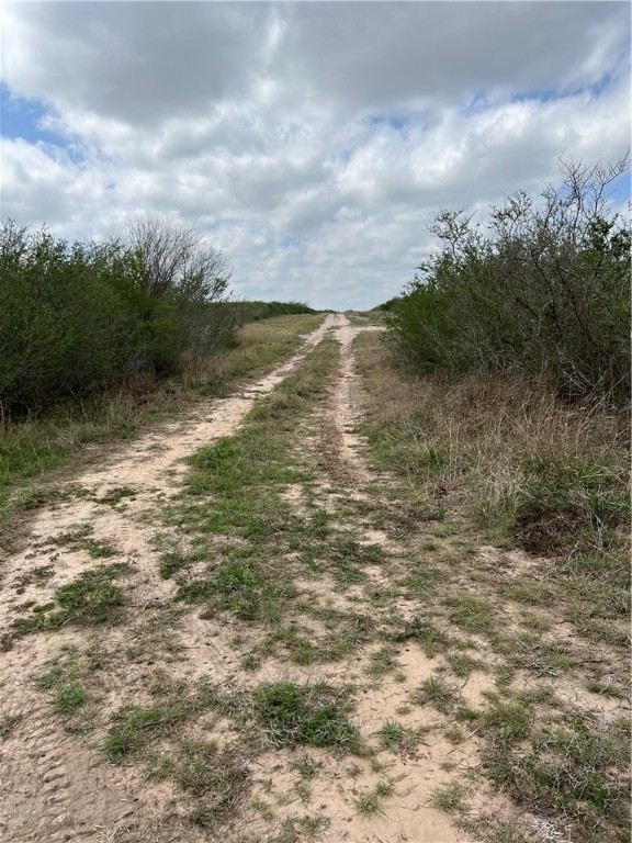0 Blackbrush Spur Property Photo 5