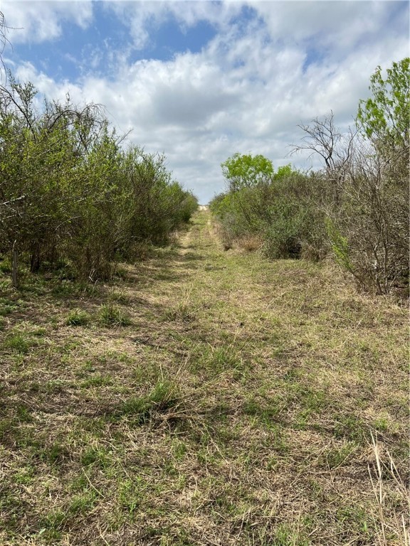 0 Blackbrush Spur Property Photo 7