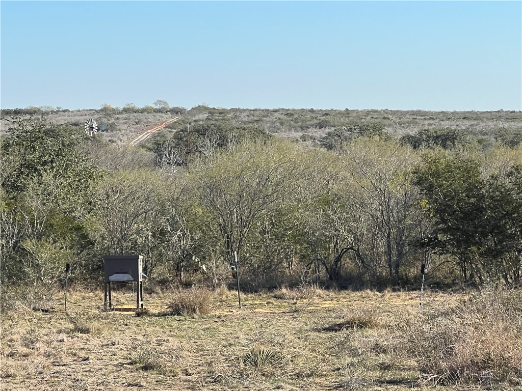 0 Blackbrush Spur Property Photo 9