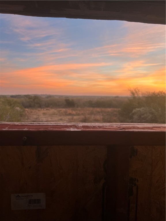 0 Blackbrush Spur Property Photo 12