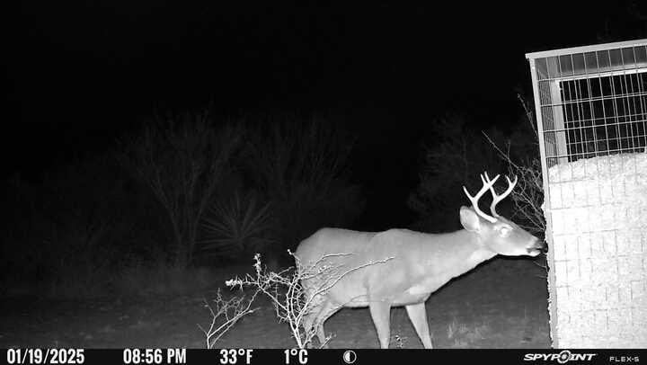 0 Blackbrush Spur Property Photo 15