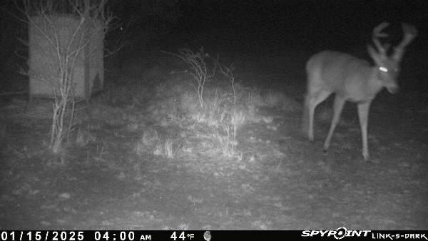 0 Blackbrush Spur Property Photo 16