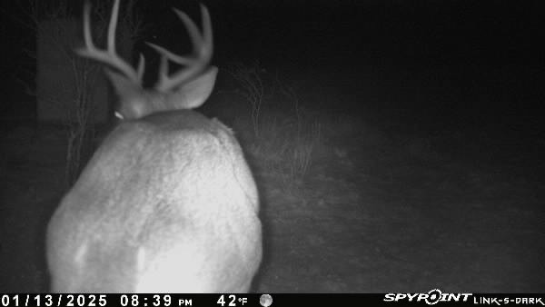 0 Blackbrush Spur Property Photo 17