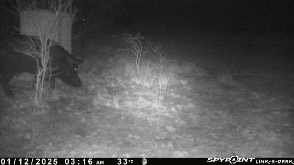 0 Blackbrush Spur Property Photo 18
