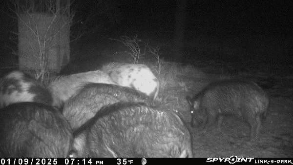 0 Blackbrush Spur Property Photo 20