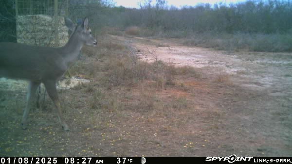 0 Blackbrush Spur Property Photo 21