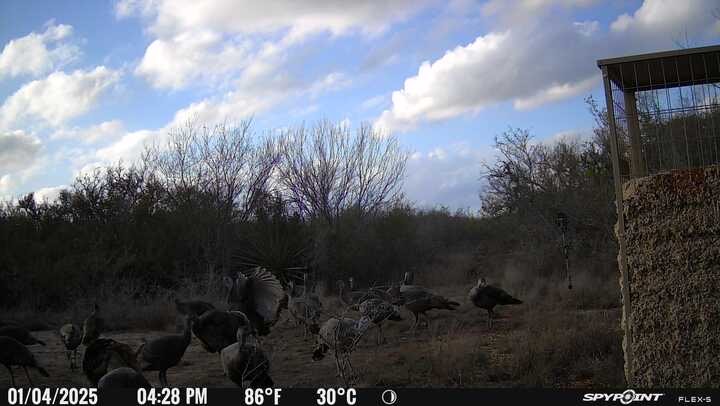 0 Blackbrush Spur Property Photo 22