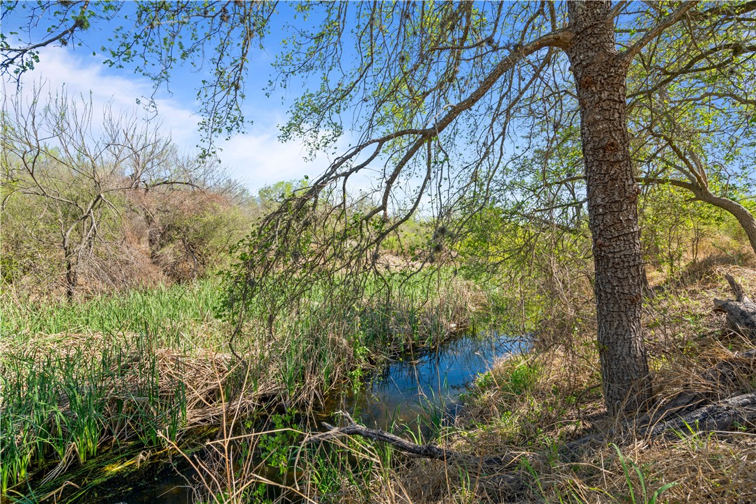 879 Fm 3087 Property Photo 23