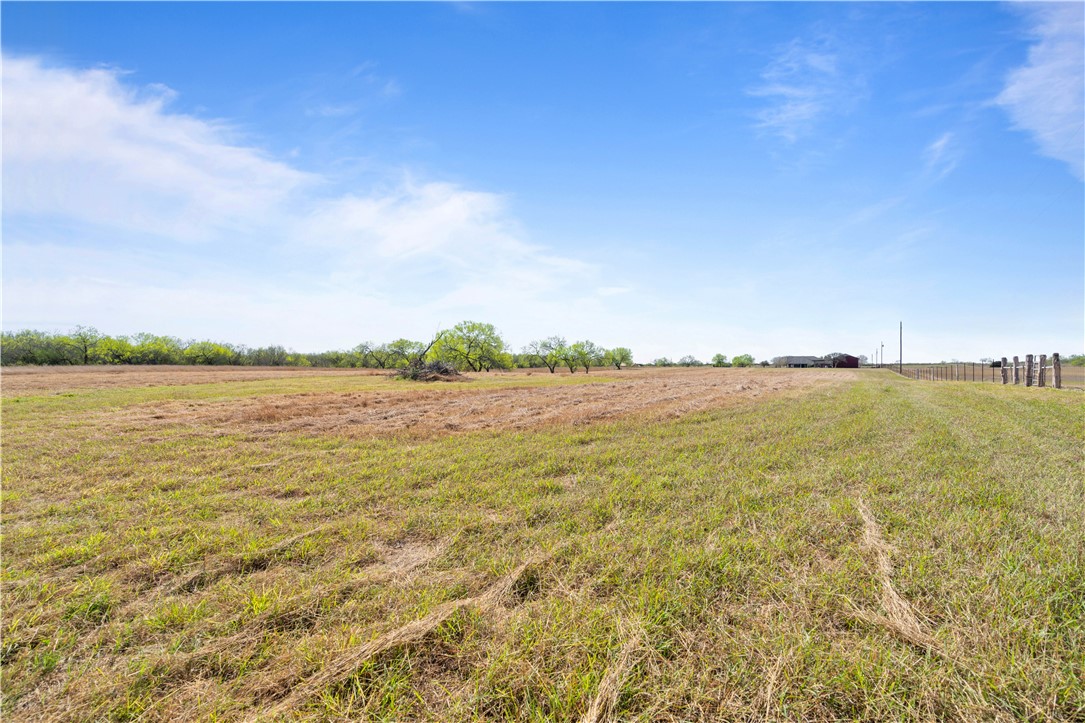 879 Fm 3087 Property Photo 24