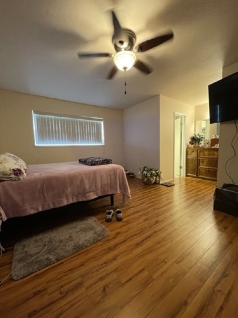 3933 Dunbrook Dr Property Photo 13