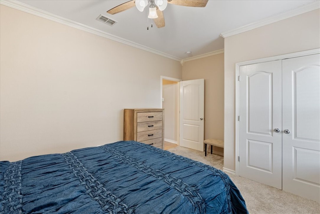 104 Collins Property Photo 29