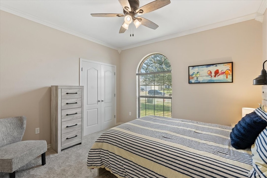104 Collins Property Photo 32