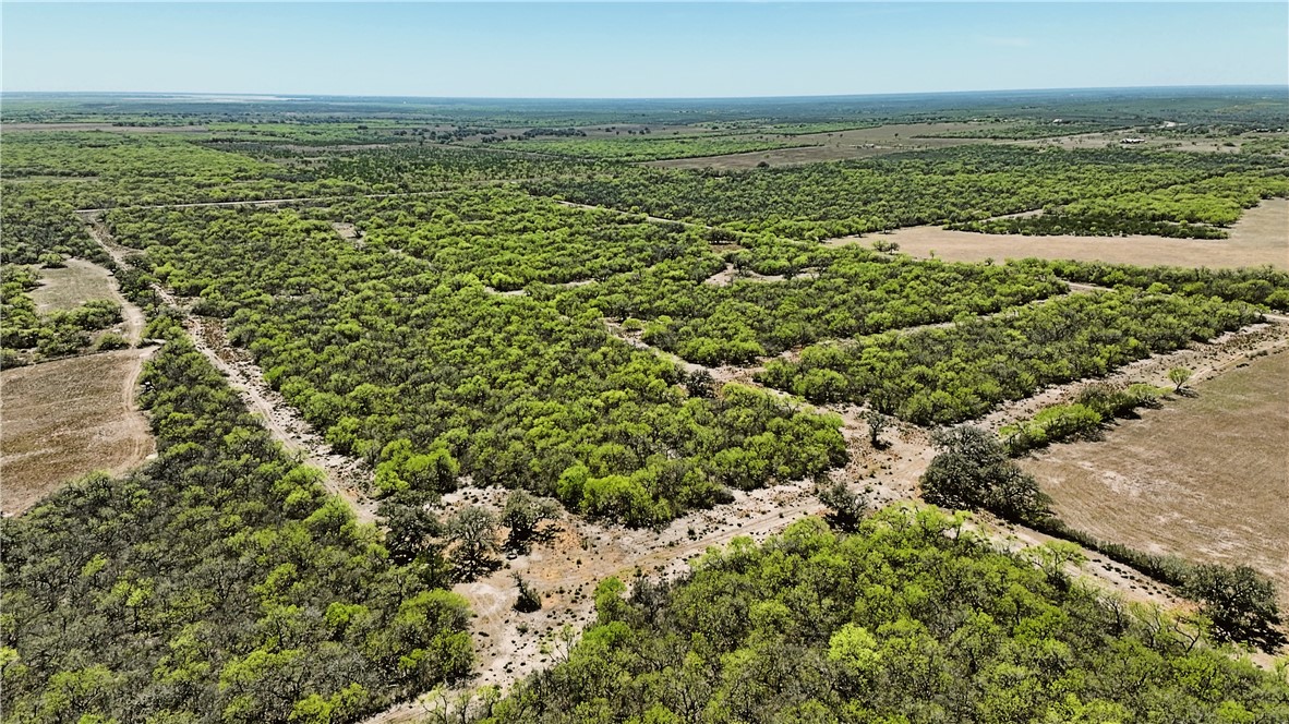 1431 Fm 534 Property Photo 2