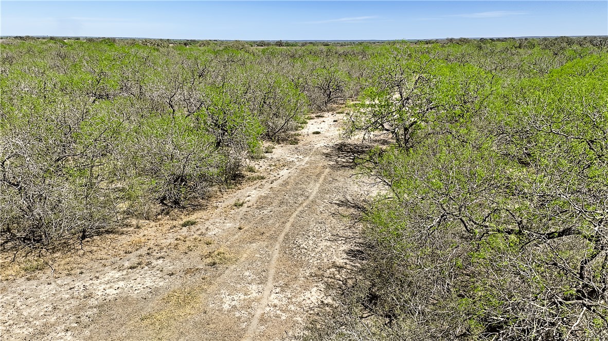 1431 Fm 534 Property Photo 4