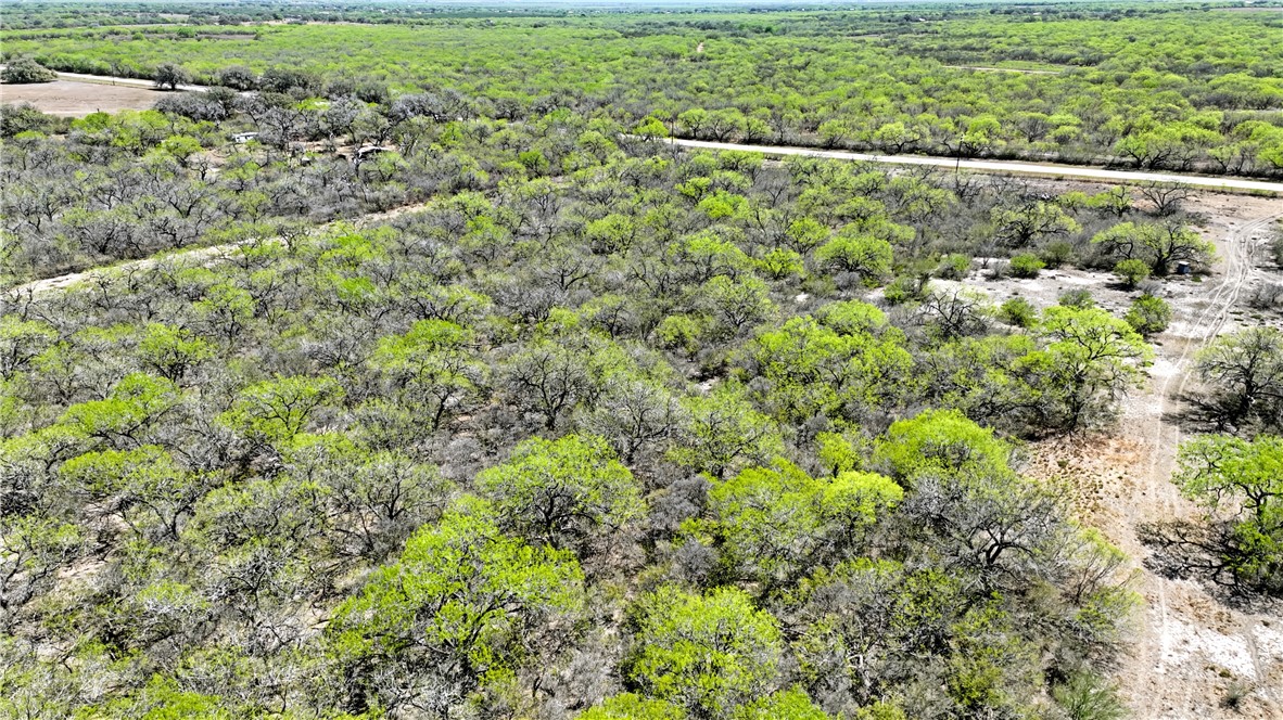 1431 Fm 534 Property Photo 5