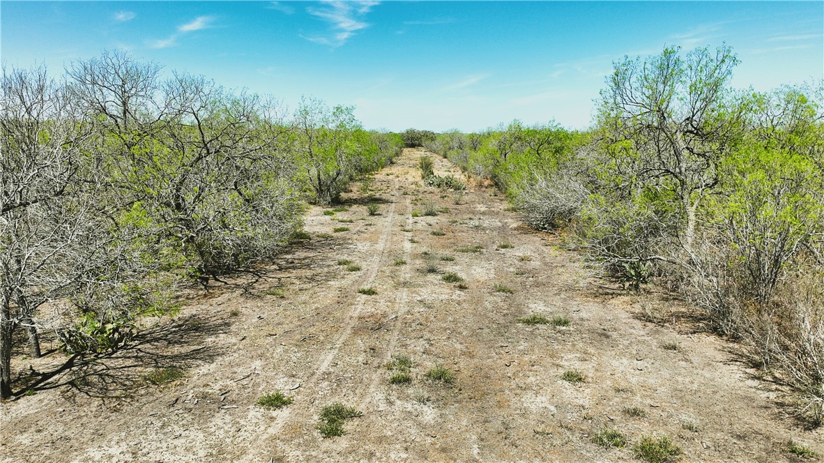 1431 Fm 534 Property Photo 7