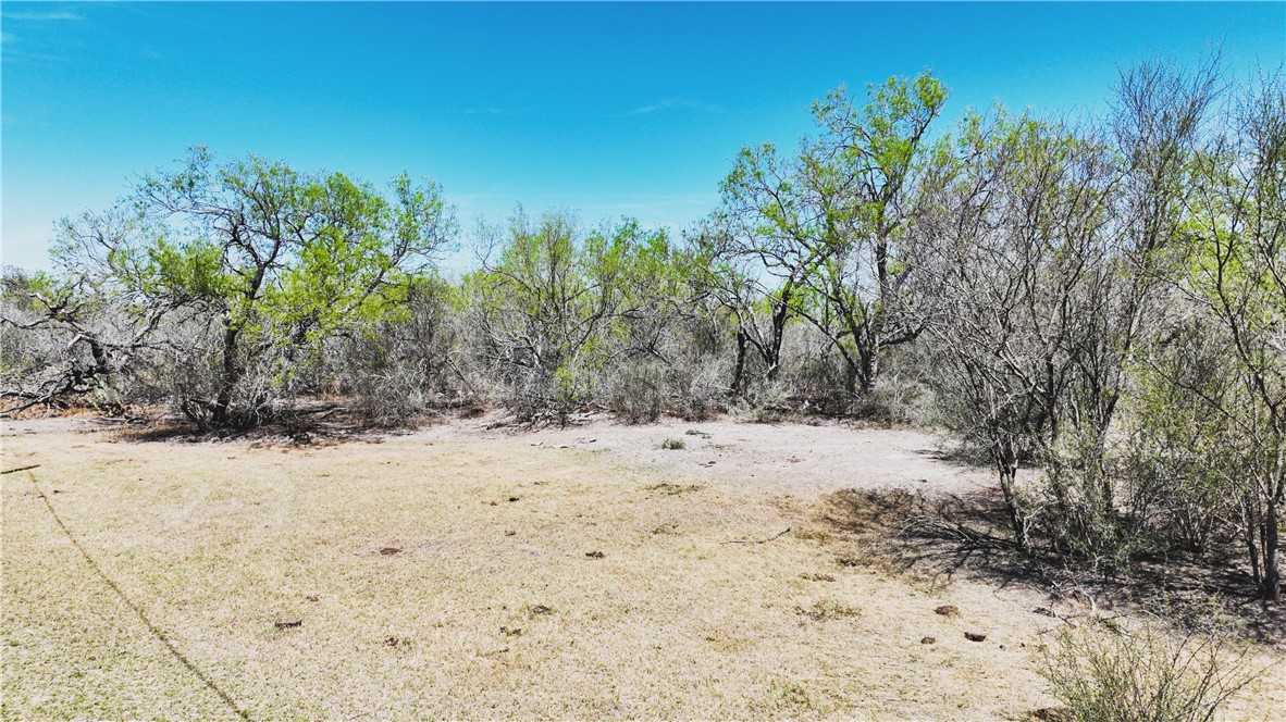 1431 Fm 534 Property Photo 9