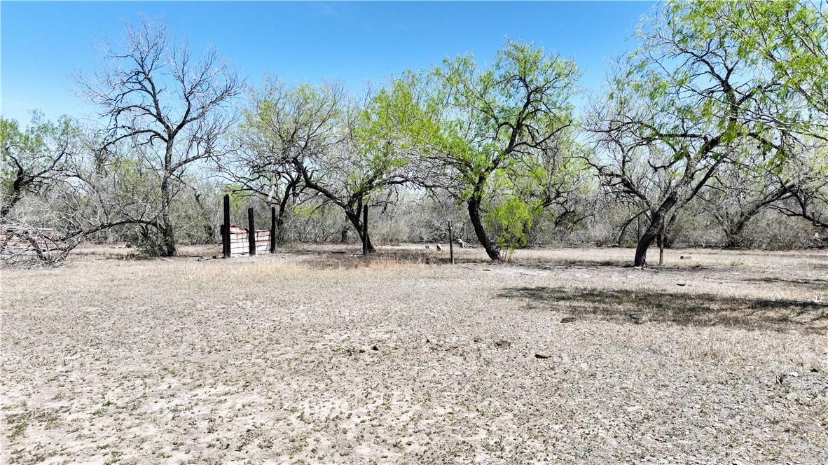 1431 Fm 534 Property Photo 11