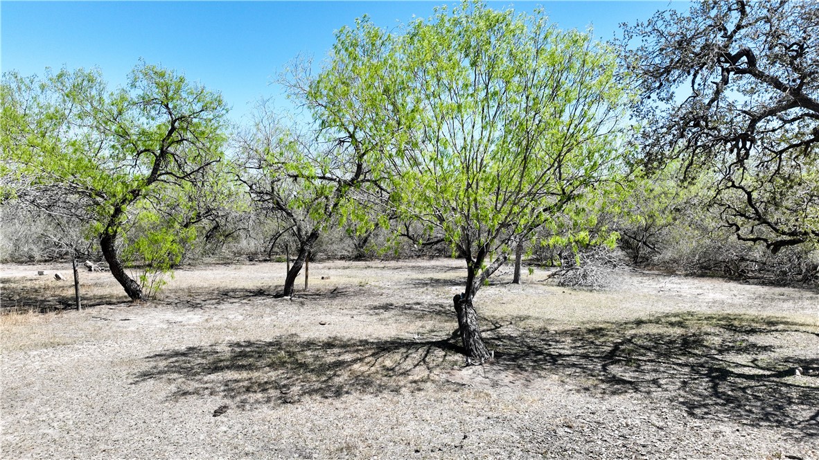 1431 Fm 534 Property Photo 12