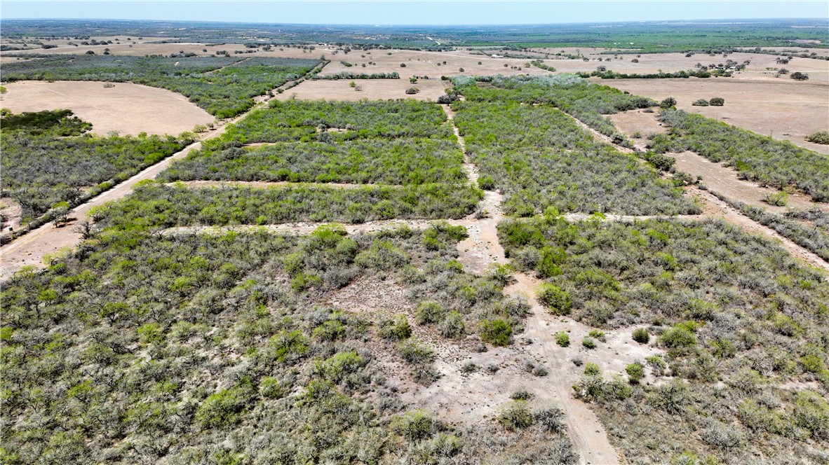 1431 Fm 534 Property Photo 14