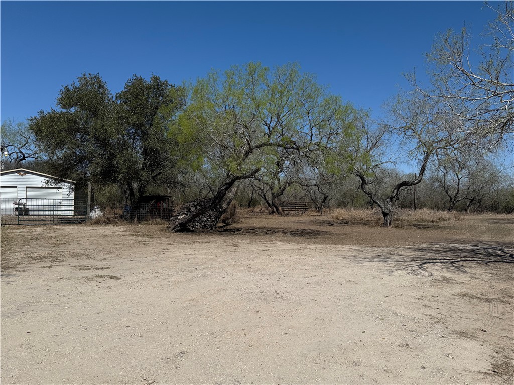 196 County Road 323 Property Photo 7