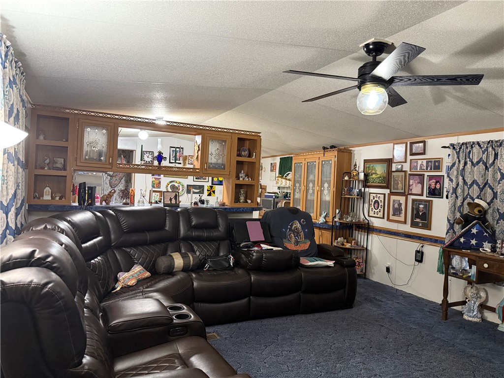 196 County Road 323 Property Photo 19