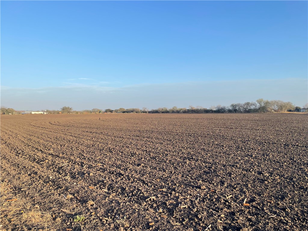 Lot 1 County Road 732 Property Photo 1