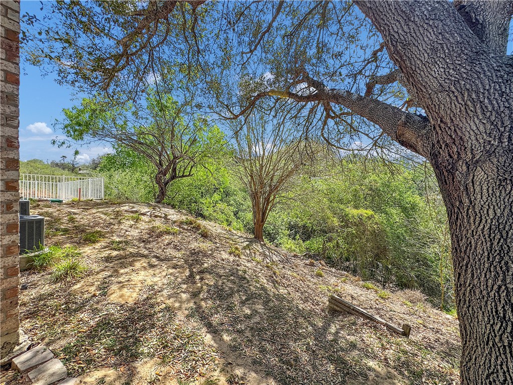 13622 Mountain Trl Property Photo 34