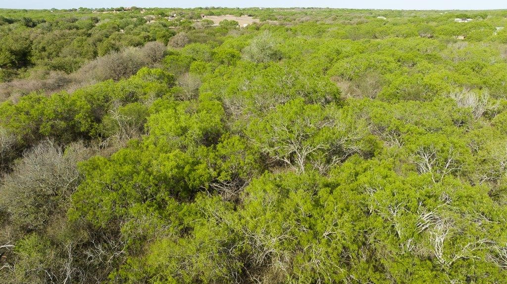 000 Fm 3088 Property Photo 23