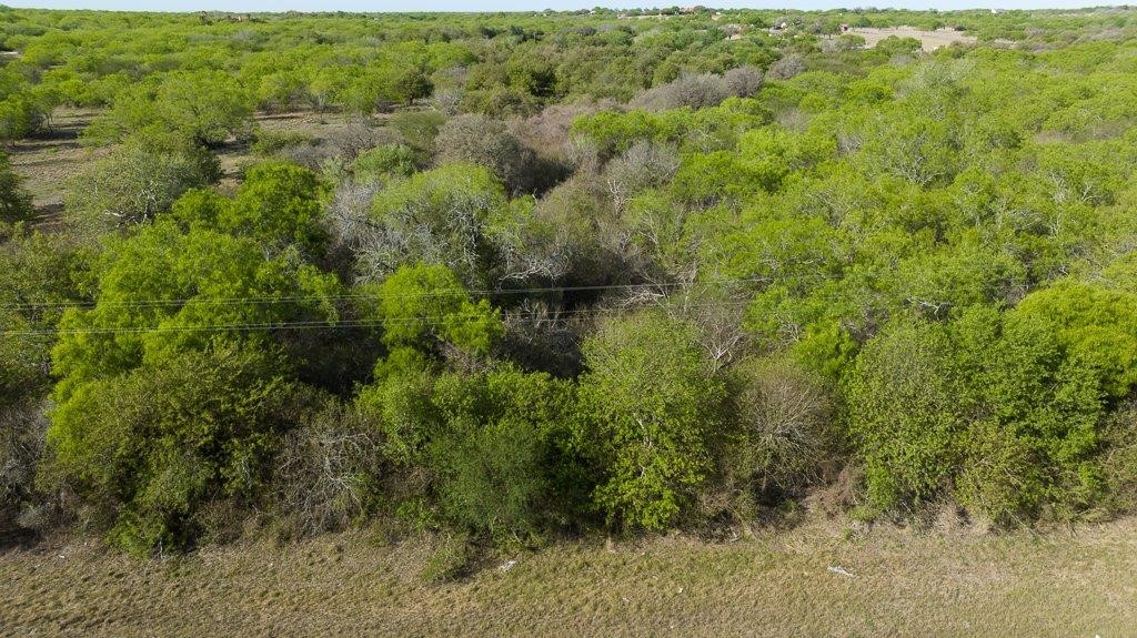 000 Fm 3088 Property Photo 25