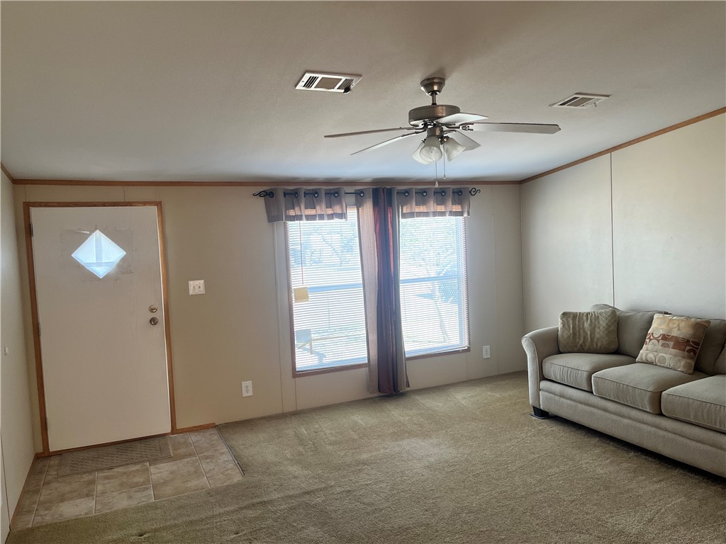 215 Elsie Ave Property Photo 18