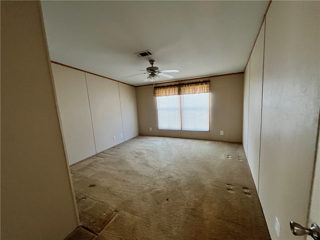 215 Elsie Ave Property Photo 34