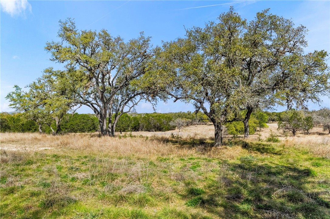 4521 Fm 1283 Property Photo 23