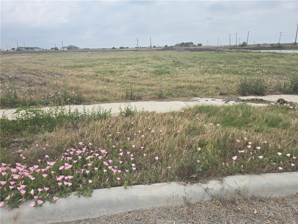 1685 Gemini Acres Dr Property Photo