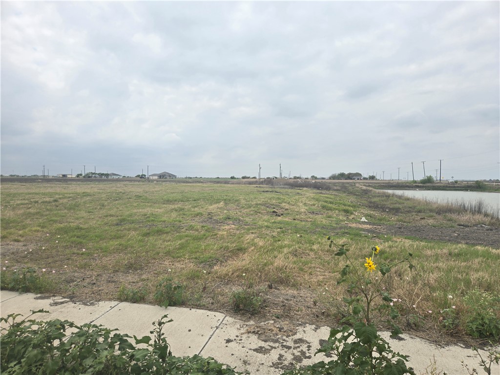 1685 Gemini Acres Dr Property Photo 2