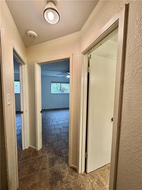 6624 Hardwick Dr A Property Photo 14