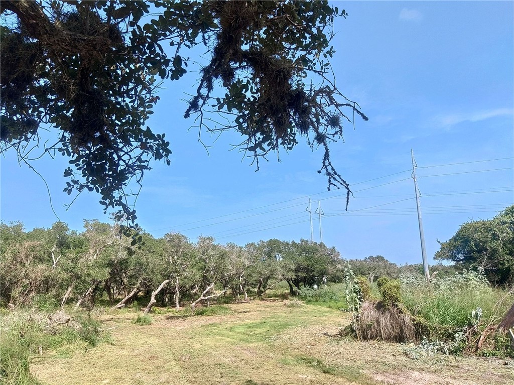 294 Tedford Property Photo