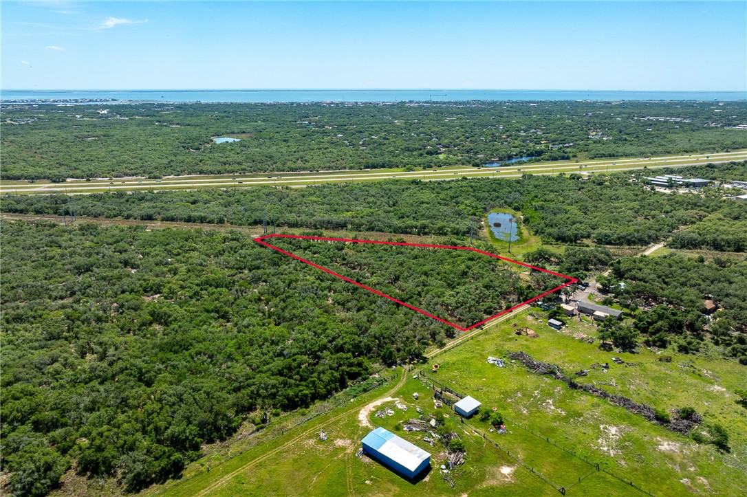 294 Tedford Property Photo 6