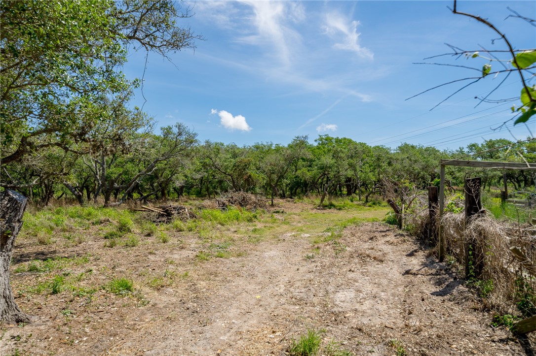 294 Tedford Property Photo 12