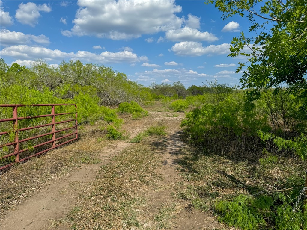 Beeville Isd Real Estate Listings Main Image