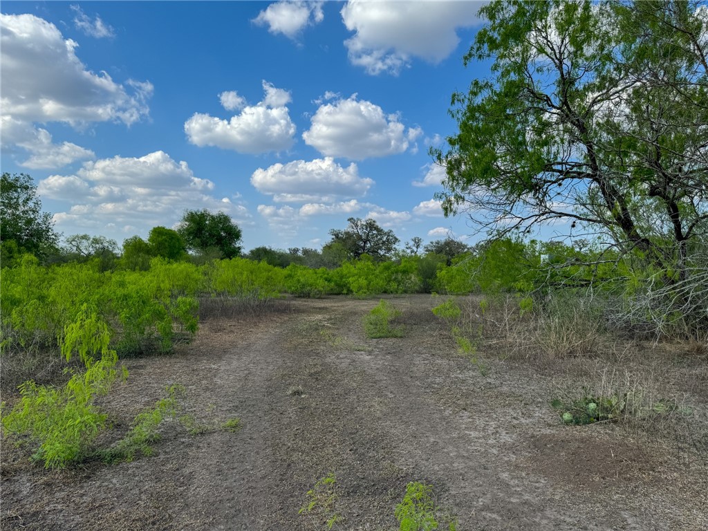 00 King Ln Property Photo 8