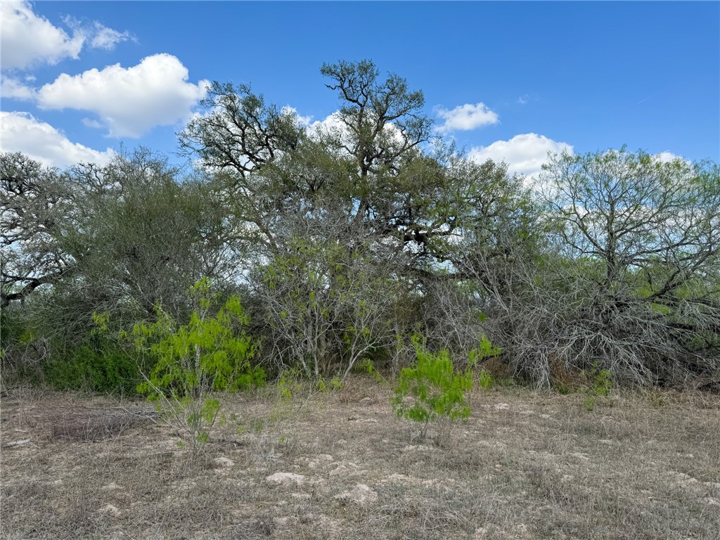 00 King Ln Property Photo 16