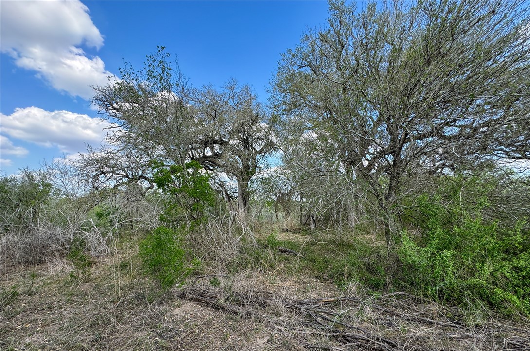 00 King Ln Property Photo 17