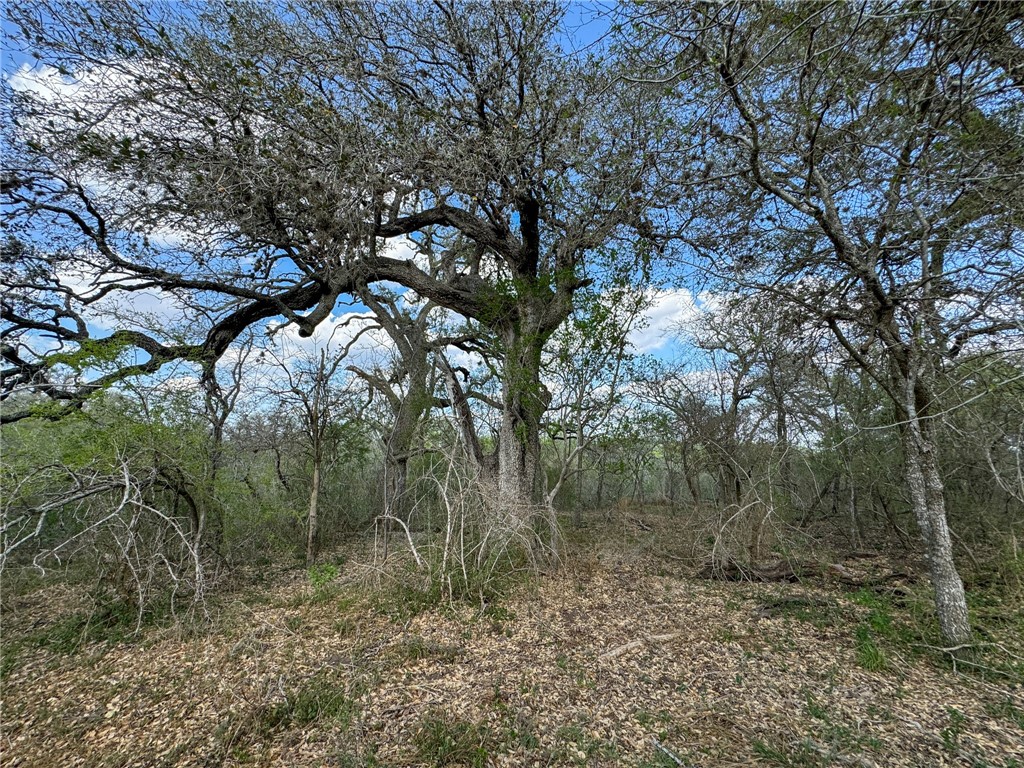 00 King Ln Property Photo 18