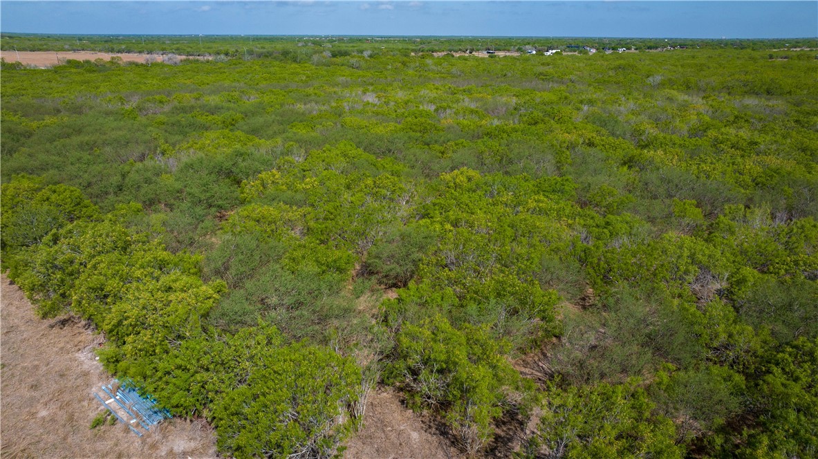 Tbd S Hwy 281 Hwy Property Photo 3
